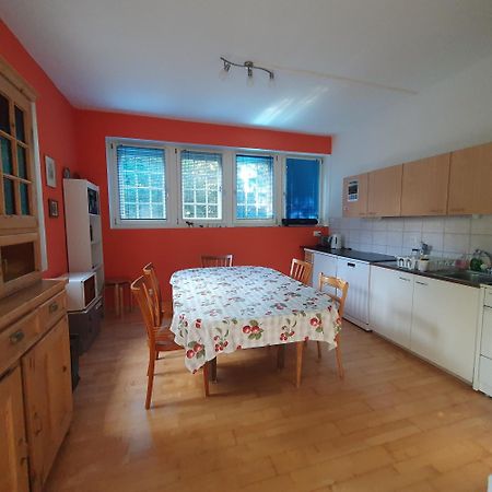 Zentral Gelegene Wohnung Mit Grossem Garten インターラーケン エクステリア 写真