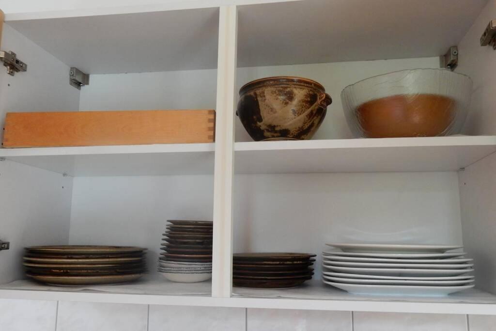 Zentral Gelegene Wohnung Mit Grossem Garten インターラーケン エクステリア 写真