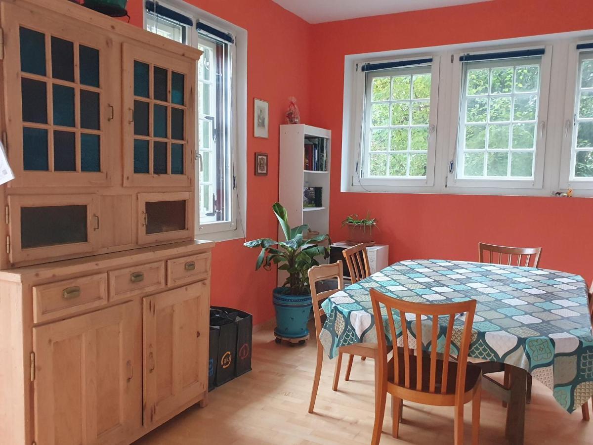 Zentral Gelegene Wohnung Mit Grossem Garten インターラーケン エクステリア 写真